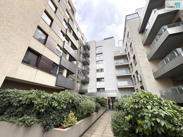 Pronájem bytu 2+kk, Praha - Žižkov, Prokopova, 66 m2