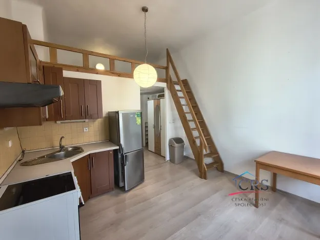 Pronájem bytu 1+kk, Praha - Žižkov, Seifertova, 25 m2