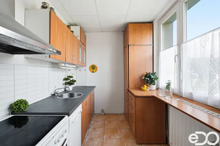 Prodej bytu 2+1, Chomutov, Pod Břízami, 59 m2