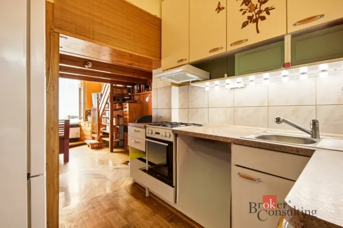 Prodej bytu 1+kk, Praha - Nusle, Spytihněvova, 24 m2