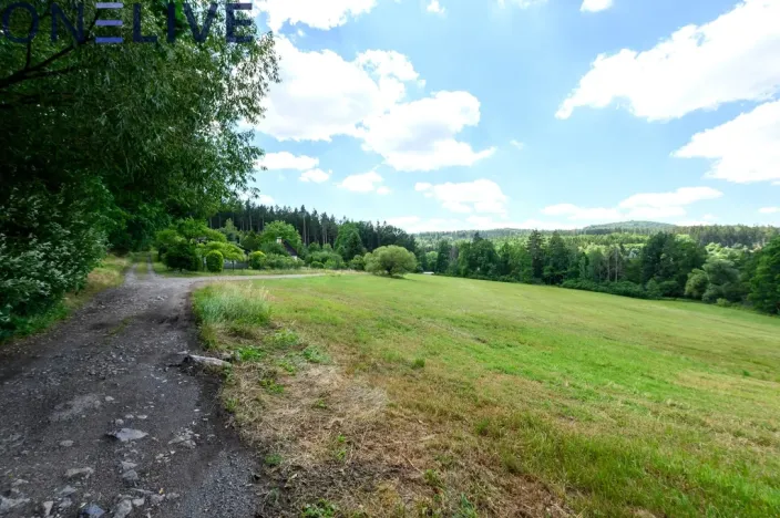 Prodej chaty, Ždírec - Žďár, 100 m2
