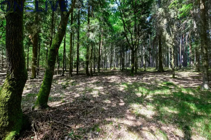 Prodej chaty, Ždírec - Žďár, 100 m2