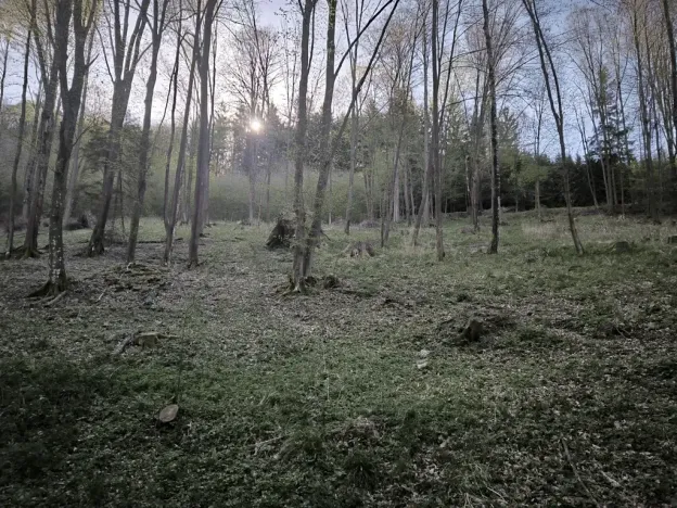 Prodej podílu lesa, Zděchov, 5288 m2