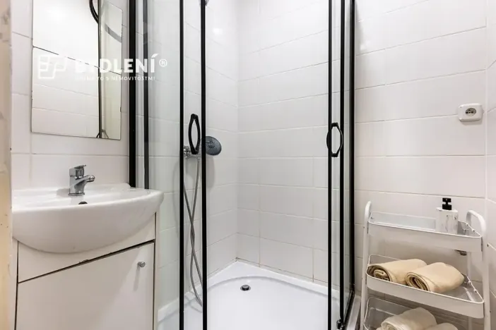Prodej bytu 2+1, Litvínov, Podkrušnohorská, 56 m2