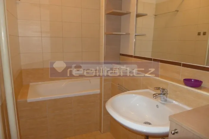 Pronájem bytu 2+1, Plzeň - Východní Předměstí, Francouzská třída, 60 m2