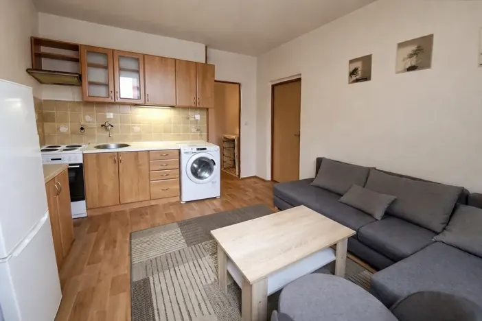 Pronájem bytu 1+1, Chomutov, Školní pěšina, 37 m2