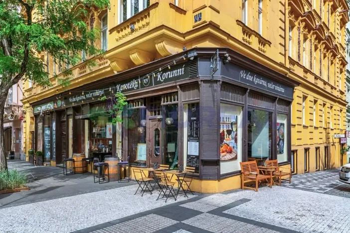 Prodej bytu 1+kk, Praha - Vinohrady, Chodská, 69 m2
