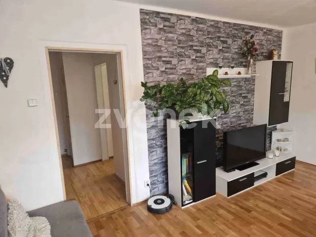 Prodej bytu 2+1, Staré Město, Finská čtvrť, 68 m2