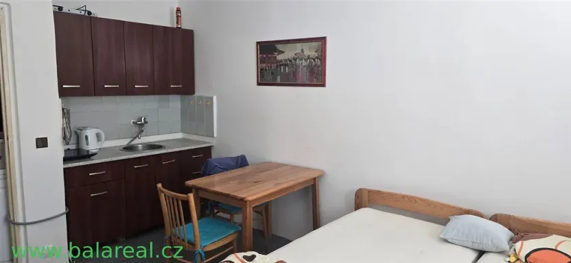 Pronájem bytu 1+kk, Brno - Lesná, Halasovo náměstí, 25 m2