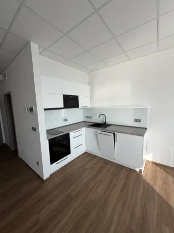 Pronájem bytu 1+kk, Prostějov, Melantrichova, 32 m2