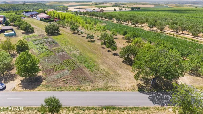 Prodej pozemku pro bydlení, Vrbice, 971 m2