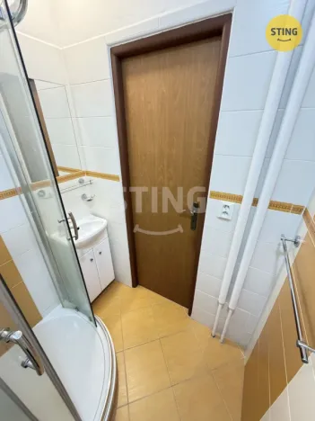Pronájem bytu 2+1, Ostrava - Hrabůvka, 60 m2
