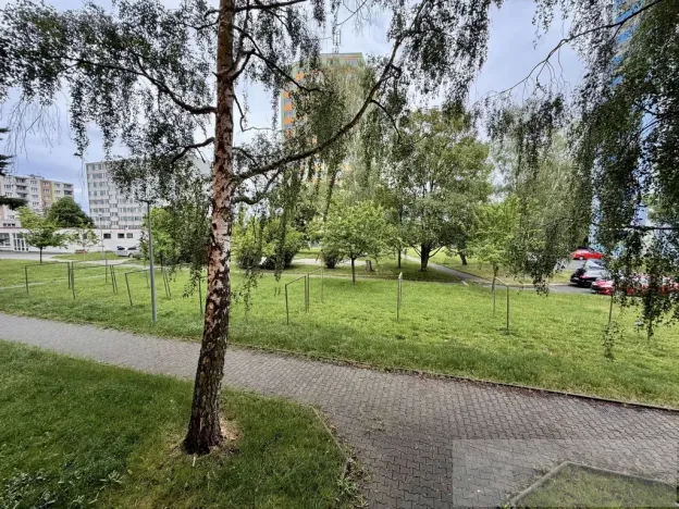 Prodej bytu 1+kk, Plzeň, Luďka Pika, 21 m2