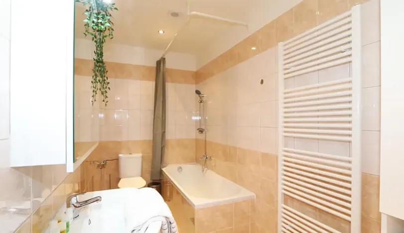 Pronájem bytu 2+kk, Praha - Vinohrady, Moravská, 55 m2