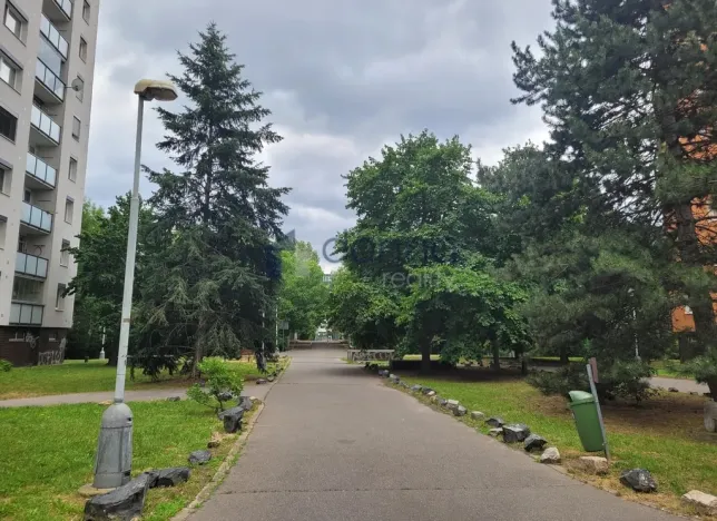 Pronájem bytu 3+1, Praha, U Botiče, 79 m2