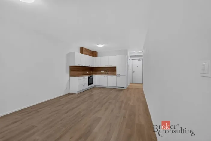 Pronájem bytu 2+kk, Plzeň - Východní Předměstí, 55 m2