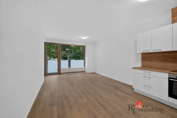 Pronájem bytu 2+kk, Plzeň - Východní Předměstí, 55 m2