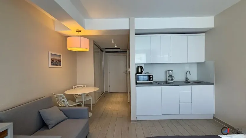Prodej bytu 1+kk, Dolní Morava, 27 m2