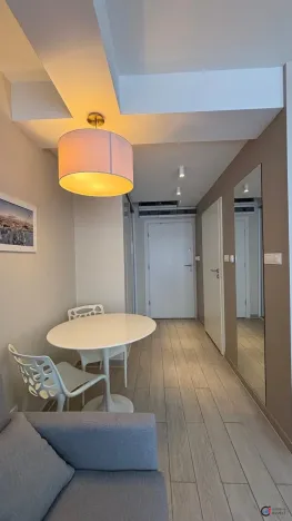 Prodej bytu 1+kk, Dolní Morava, 27 m2