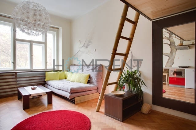 Pronájem bytu 1+kk, Praha - Nusle, Sekaninova, 35 m2