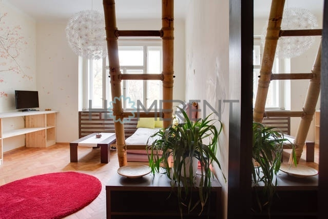 Pronájem bytu 1+kk, Praha - Nusle, Sekaninova, 35 m2