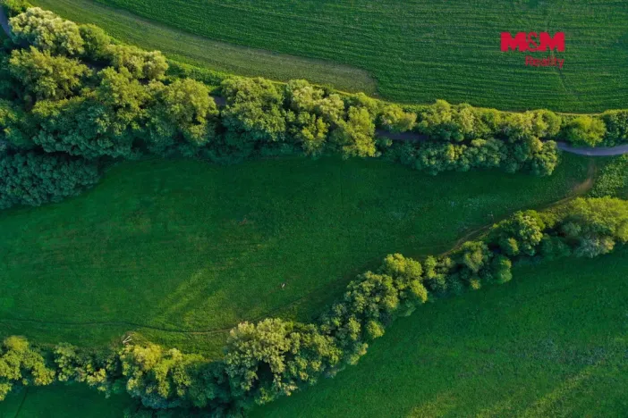 Prodej louky, Horní Bříza, 4590 m2