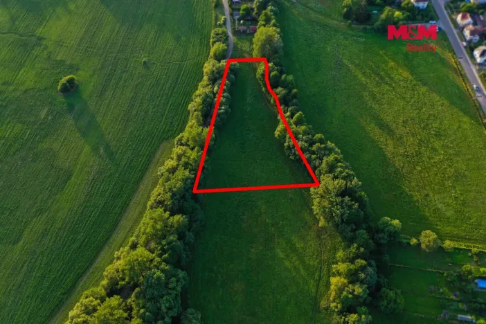 Prodej louky, Horní Bříza, 4590 m2