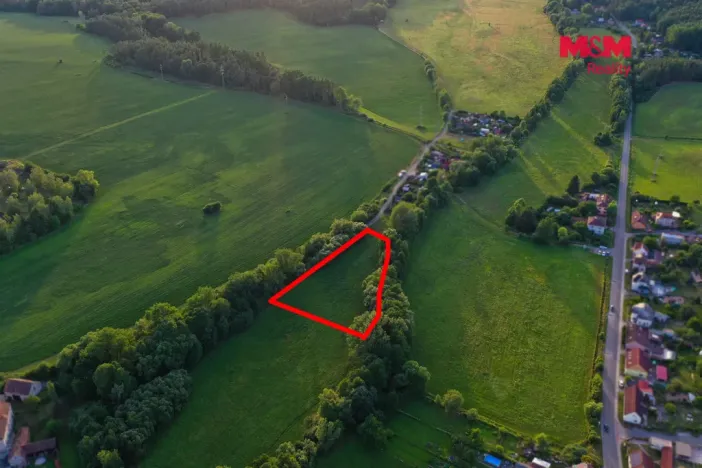 Prodej louky, Horní Bříza, 4590 m2