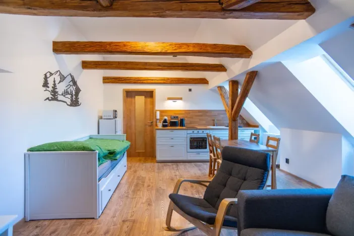 Pronájem bytu 1+kk, Staré Buky - Prostřední Staré Buky, 35 m2
