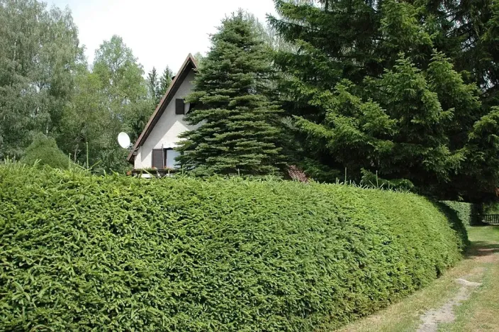 Prodej chaty, Hnačov, 100 m2