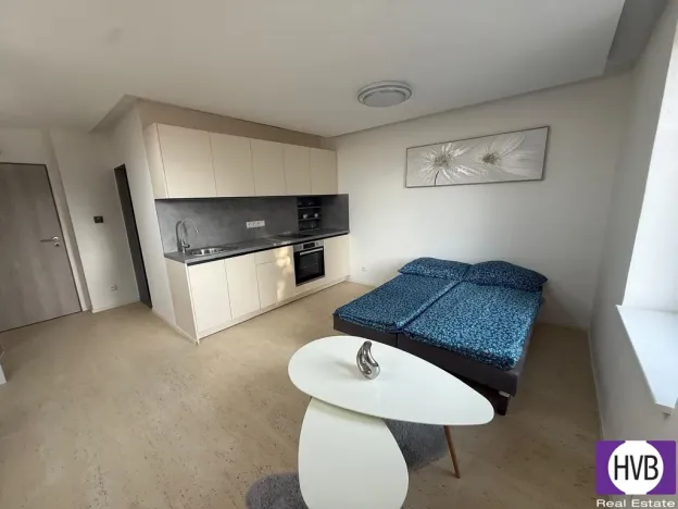 Prodej bytu 1+kk, Horní Planá, Palackého, 25 m2