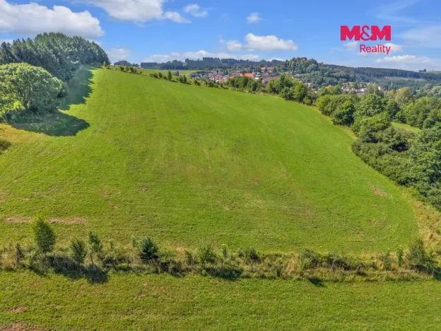 Prodej louky, Pecka, 17267 m2
