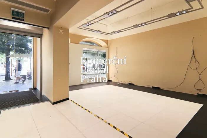 Pronájem restaurace, Praha - Nové Město, Václavské náměstí, 309 m2