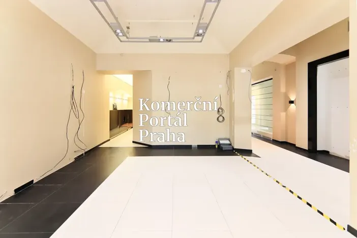 Pronájem restaurace, Praha - Nové Město, Václavské náměstí, 309 m2