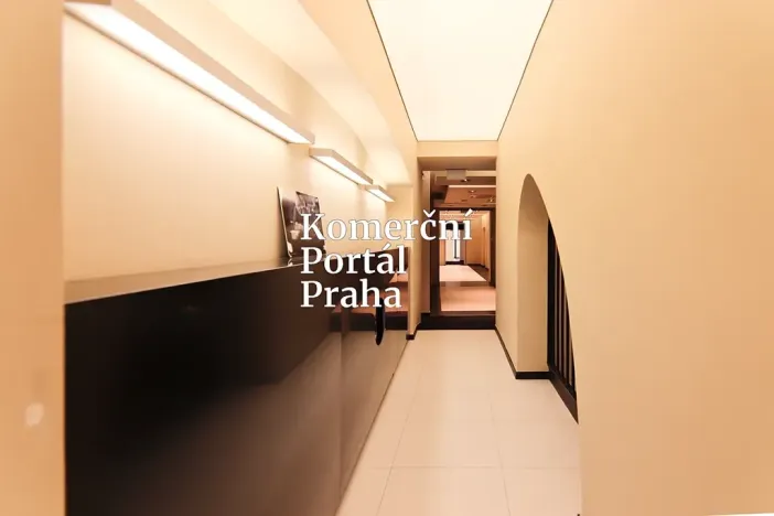Pronájem obchodního prostoru, Praha - Nové Město, Václavské náměstí, 309 m2