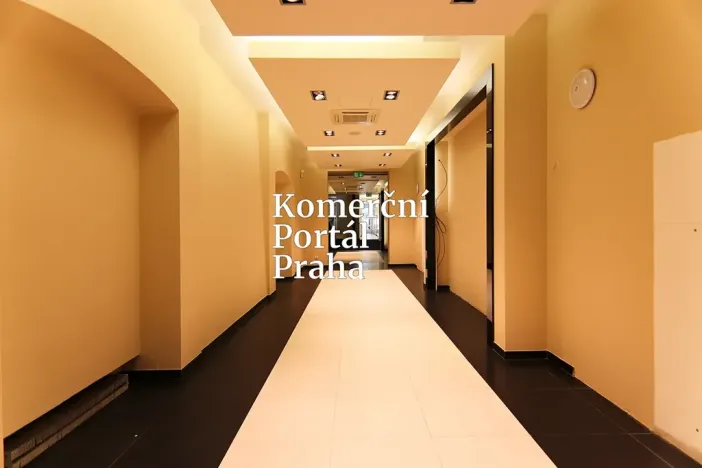 Pronájem obchodního prostoru, Praha - Nové Město, Václavské náměstí, 309 m2