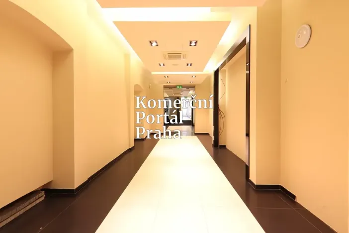 Pronájem obchodního prostoru, Praha - Nové Město, Václavské náměstí, 309 m2