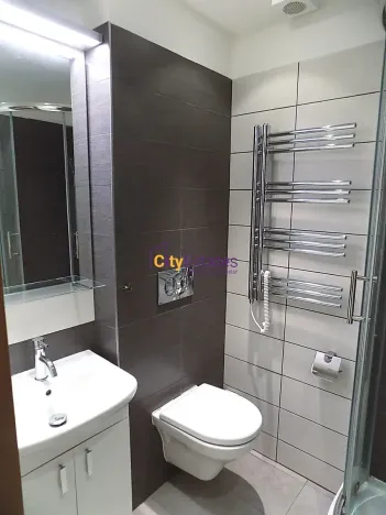 Pronájem bytu 1+kk, Praha - Žižkov, Vlkova, 26 m2