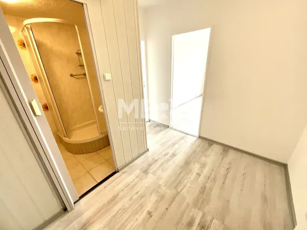 Pronájem bytu 2+kk, Bílina, 41 m2