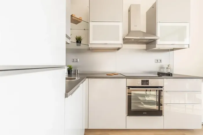 Pronájem bytu 2+kk, Praha - Holešovice, V háji, 55 m2