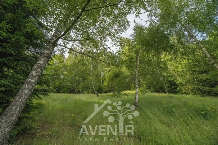 Prodej rodinného domu, Mosty u Jablunkova, 168 m2