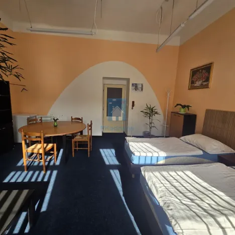 Pronájem pokoje, Plzeň, Klatovská třída, 15 m2