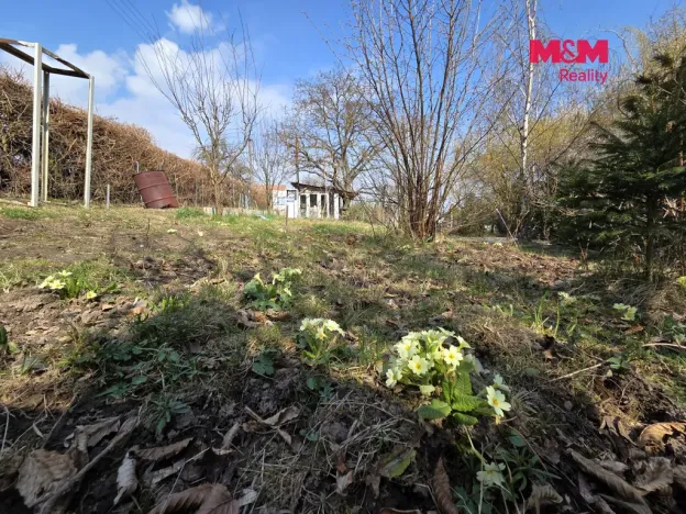 Prodej rodinného domu, Český Brod, Zahrady, 80 m2