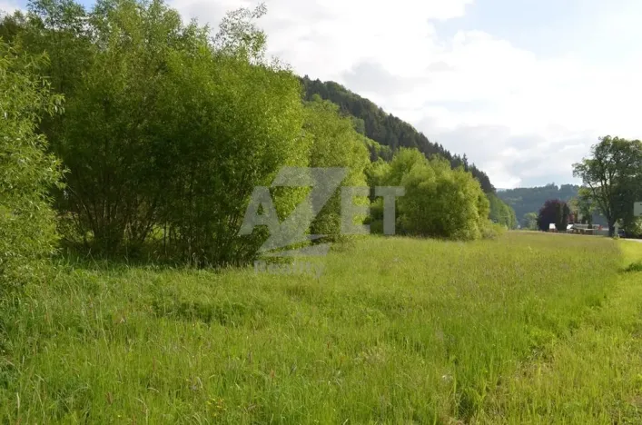 Prodej pozemku pro bydlení, Hanušovice - Potůčník, 1000 m2