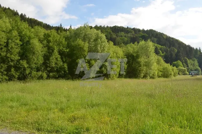 Prodej pozemku pro bydlení, Hanušovice - Potůčník, 1000 m2