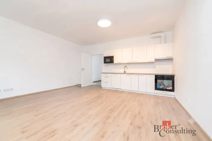 Prodej bytu 1+kk, Plzeň - Jižní Předměstí, Železná, 36 m2