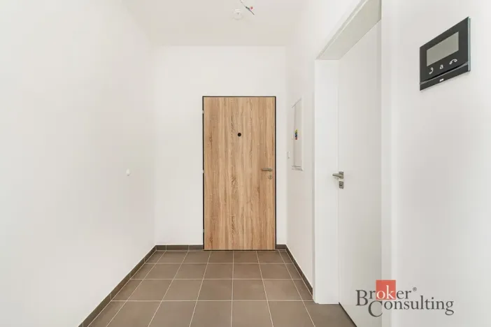Prodej bytu 1+kk, Plzeň - Jižní Předměstí, Železná, 36 m2