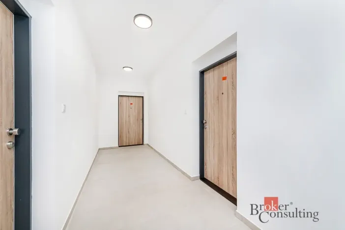 Prodej bytu 1+kk, Plzeň - Jižní Předměstí, Železná, 36 m2