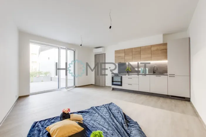 Pronájem bytu 2+kk, Praha - Nové Město, Vyšehradská, 52 m2