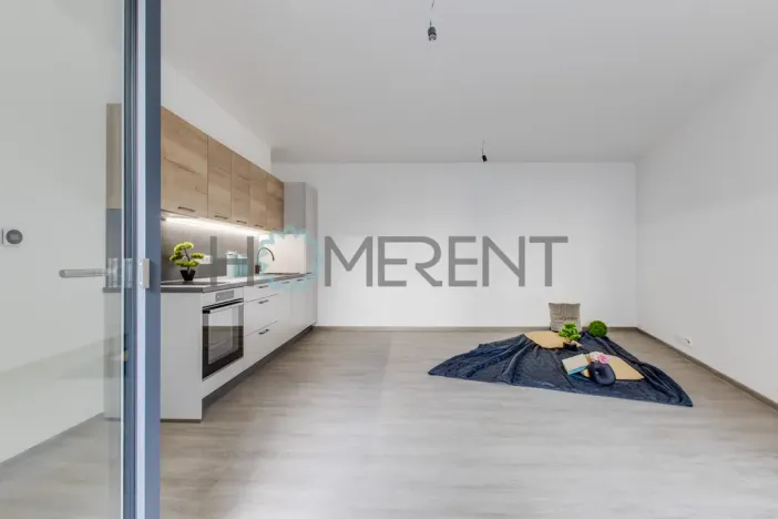 Pronájem bytu 2+kk, Praha - Nové Město, Vyšehradská, 52 m2
